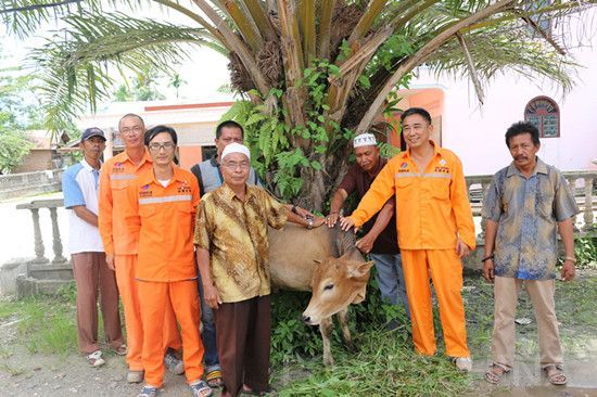 ӡmKK(xing)Ŀ(ji)οDesa tanjung pasir